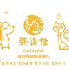 宠物医生+疑难杂M费咨询