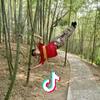 BBOY JAMIN