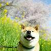 玩玩小游戏