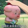 猪🐷爱分享