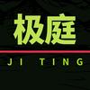 极庭数码