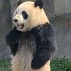 侯府二小姐
