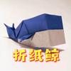折纸鲸 🐳