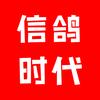 信鸽时代