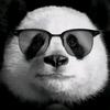 張有志