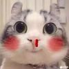中熊