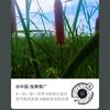 中国.曳舞推广