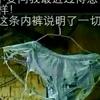 乌鸦说猪黑