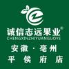 诚信志远果业(平侯府店)