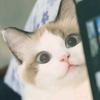 不     铭
