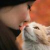 🐾走X🐾