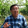 摇钱树张博士