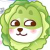 狗狗卷心菜
