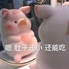吃不胖的瘦子