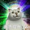 只猫