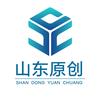 山东原创信息技术