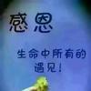 龙游四海