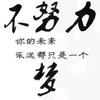 BQ16859888888