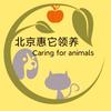 北京惠它领养