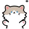 猫猫教练