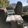 沙漠里的清泉