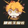 硬核王探长
