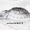 animal动物世界
