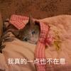 blingbling闪亮抠抠