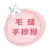毛球手抄报