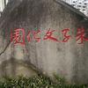 zhang老师习文聊教