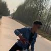 海里的鲨鱼