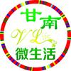 甘南V小探