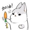 卓