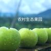 芳草碧连天