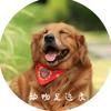 动物足迹录