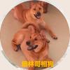 相狗师细林哥
