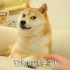 西楚华容