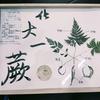 指弹狂魔