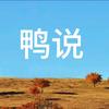 鸭说电影