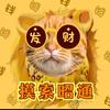 摸索昭通