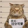 分享快乐！