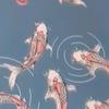 海岛人机王