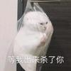 略略略略略