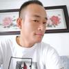 毛毛虫