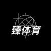 臻体育