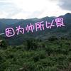 因帅所累