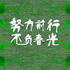 北京建材辅料配送集成商