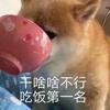 小凯
