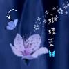 蝴蝶蓝