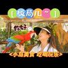秦皇岛小飞侠